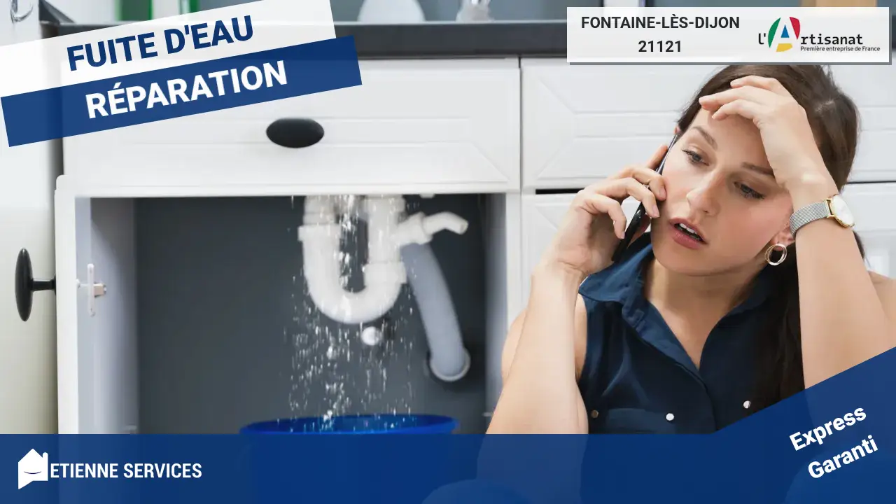 Disponibilité 7j/7 et engagement qualité pour votre réparation de fuite d’eau à Fontaine-lès-Dijon