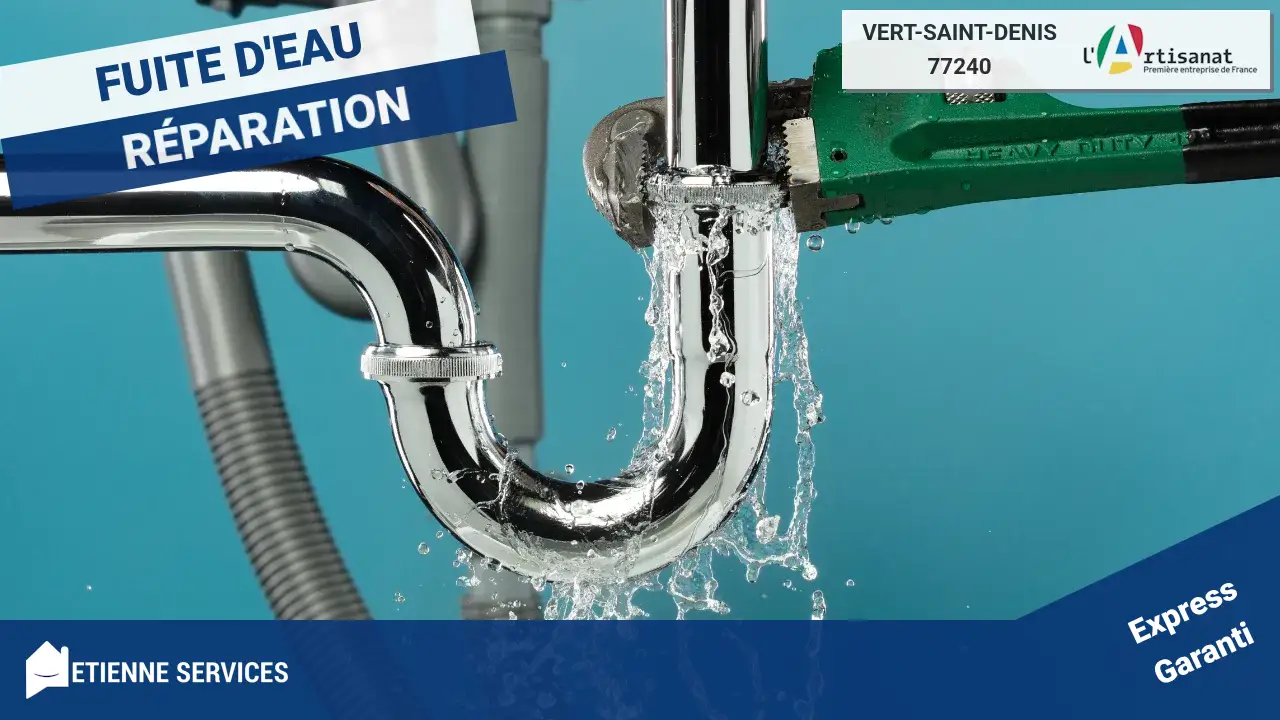 Votre expert pour la réparation de fuite d'eau à Vert-Saint-Denis