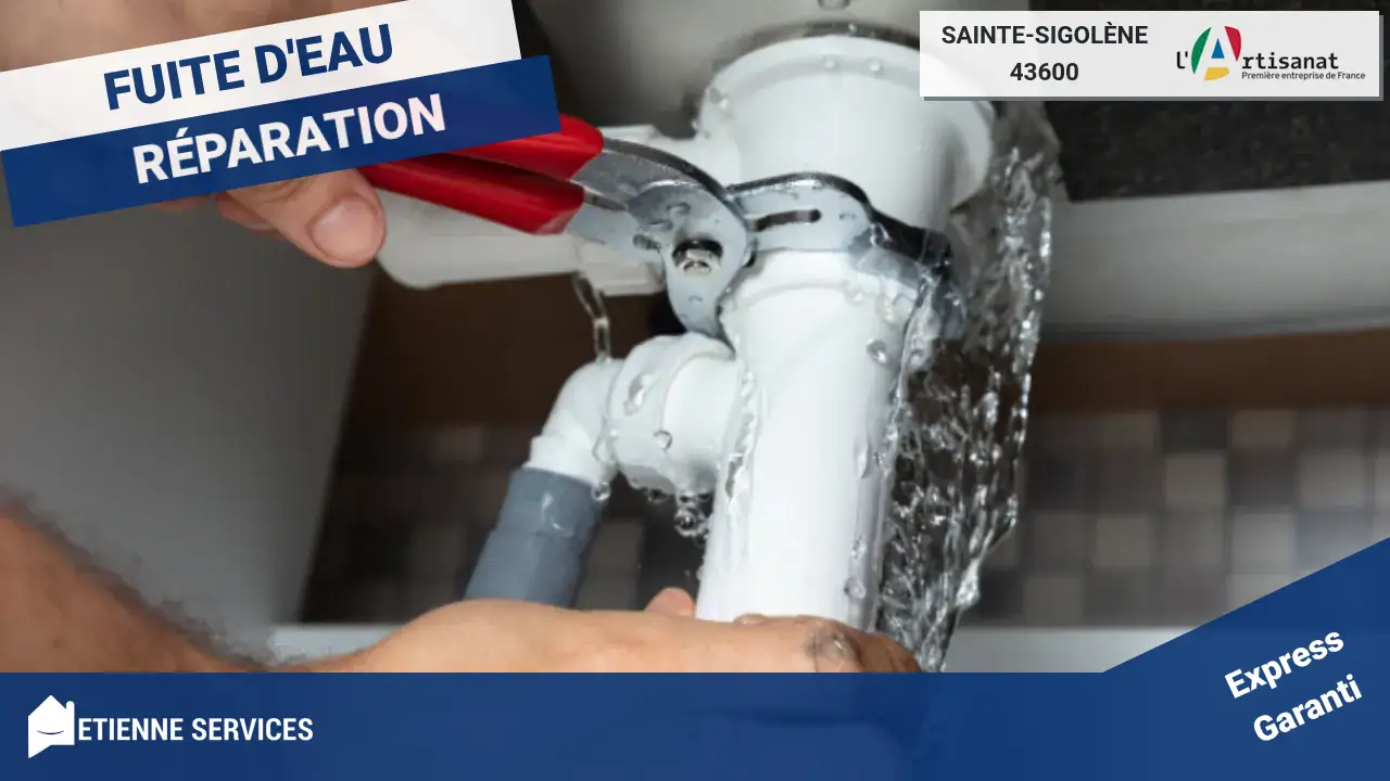 Le savoir-faire de nos meilleurs artisans pour chaque réparation de fuite
