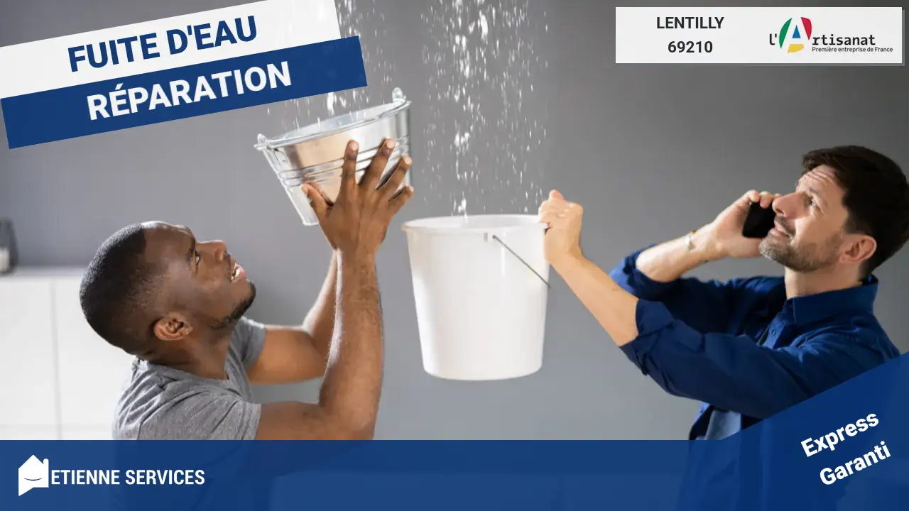 Votre tranquillité d'esprit : notre engagement pour vos réparations de fuite à Lentilly