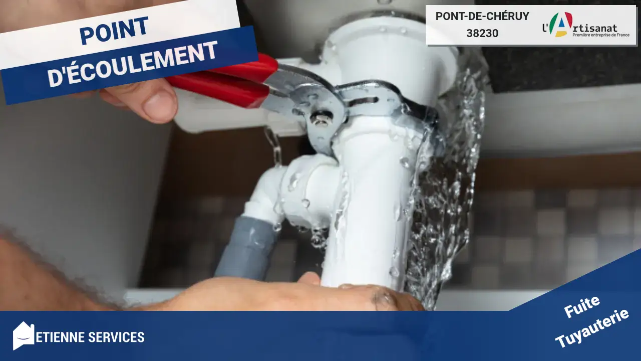 Intervention Rapide pour Réparation de Fuite d'Eau par nos Experts à Pont-de-Chéruy