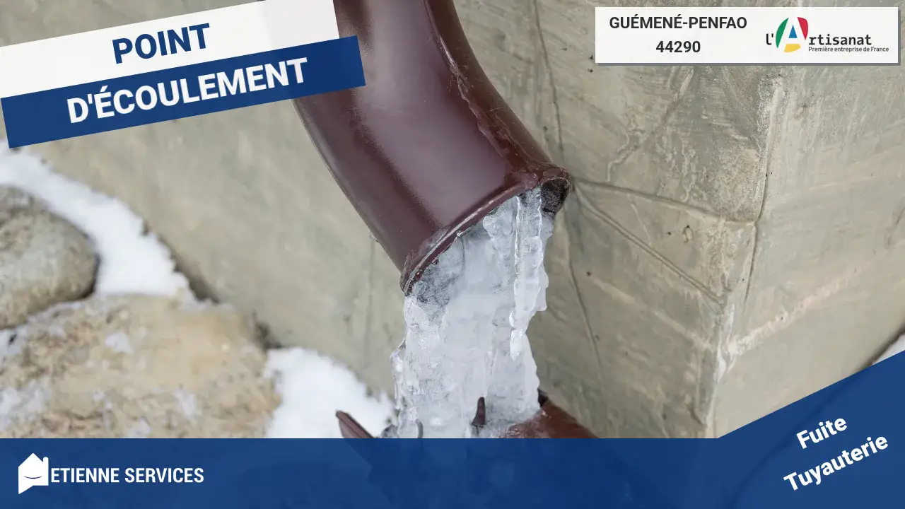Spécialistes de la Réparation de Fuite d'eau à Guémené-Penfao