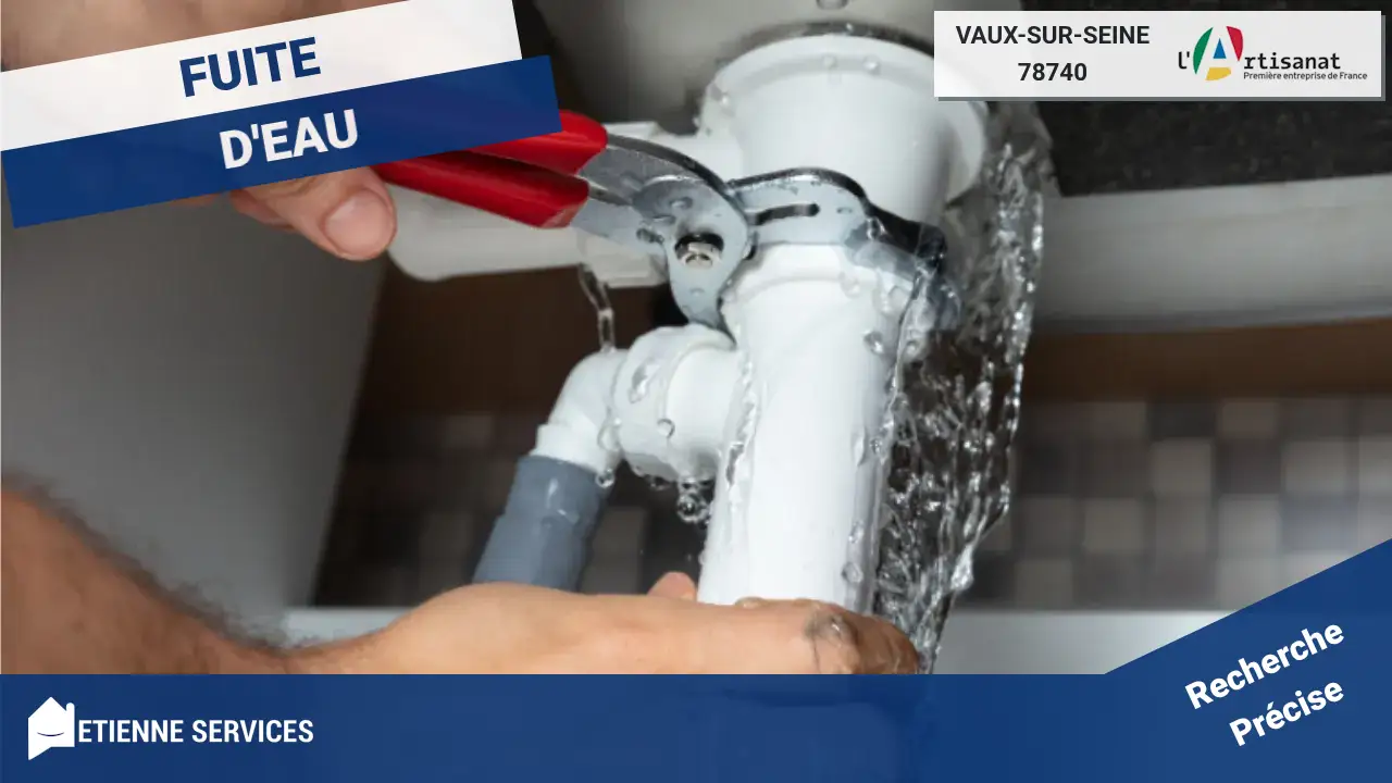Experts en réparation de fuite d'eau rapide à Vaux-sur-Seine