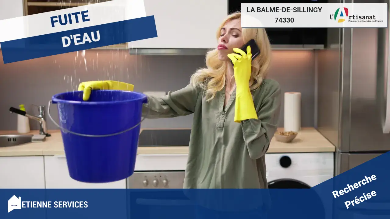 Réparation de Fuite d'Eau Rapide et Efficace par nos Meilleurs Plombiers à La Balme-de-Sillingy