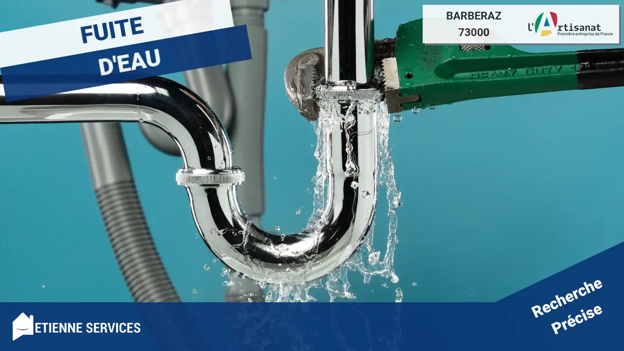 Experts en Réparation de Fuite d'Eau Rapide et Efficace à Barberaz