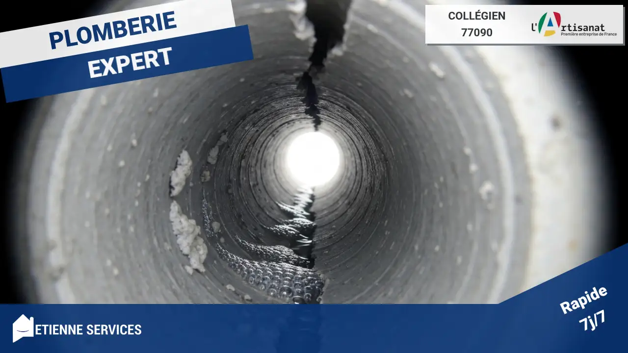 Experts de l'inspection de canalisation par caméra vidéo