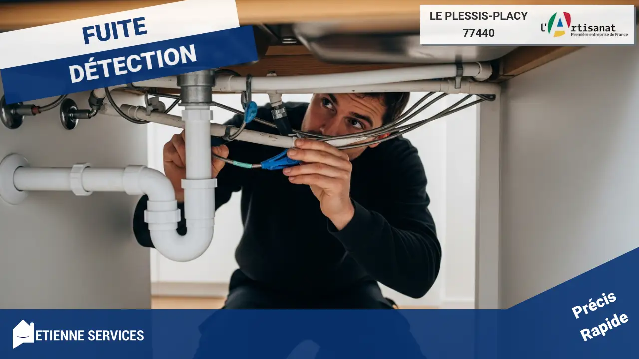Recherche de fuites professionnelle à Le Plessis-Placy : nos méthodes expertes
