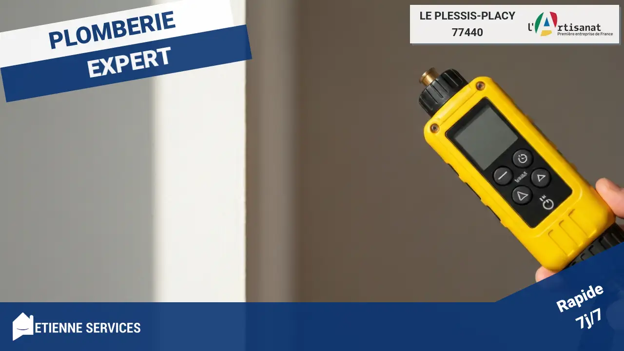 Experts certifiés en recherche de fuite par gaz traceur à Le Plessis-Placy
