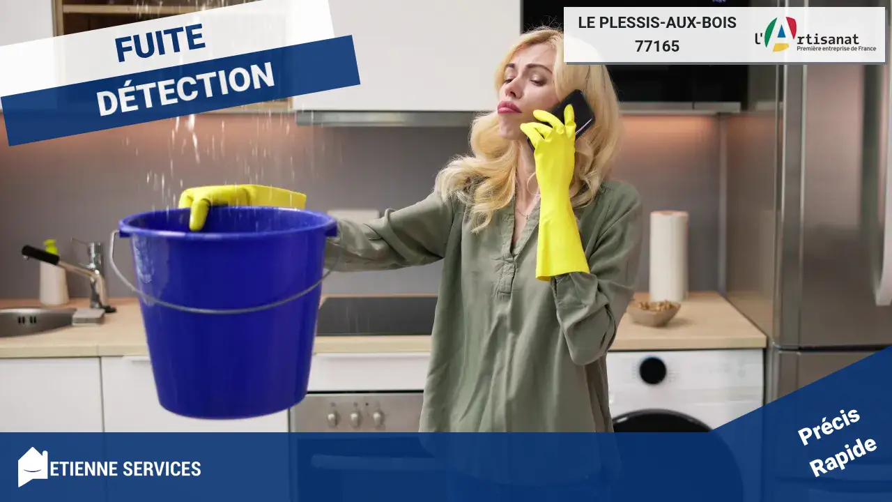 Recherche de fuites à Le Plessis-aux-Bois : Diagnostic précis par des spécialistes reconnus