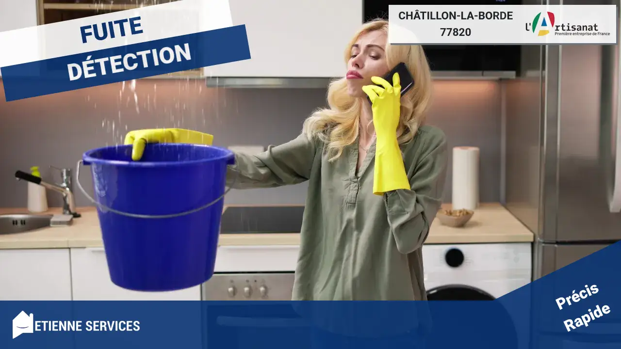 Spécialistes reconnus en recherche de fuites à Châtillon-la-Borde : Notre expertise à votre service