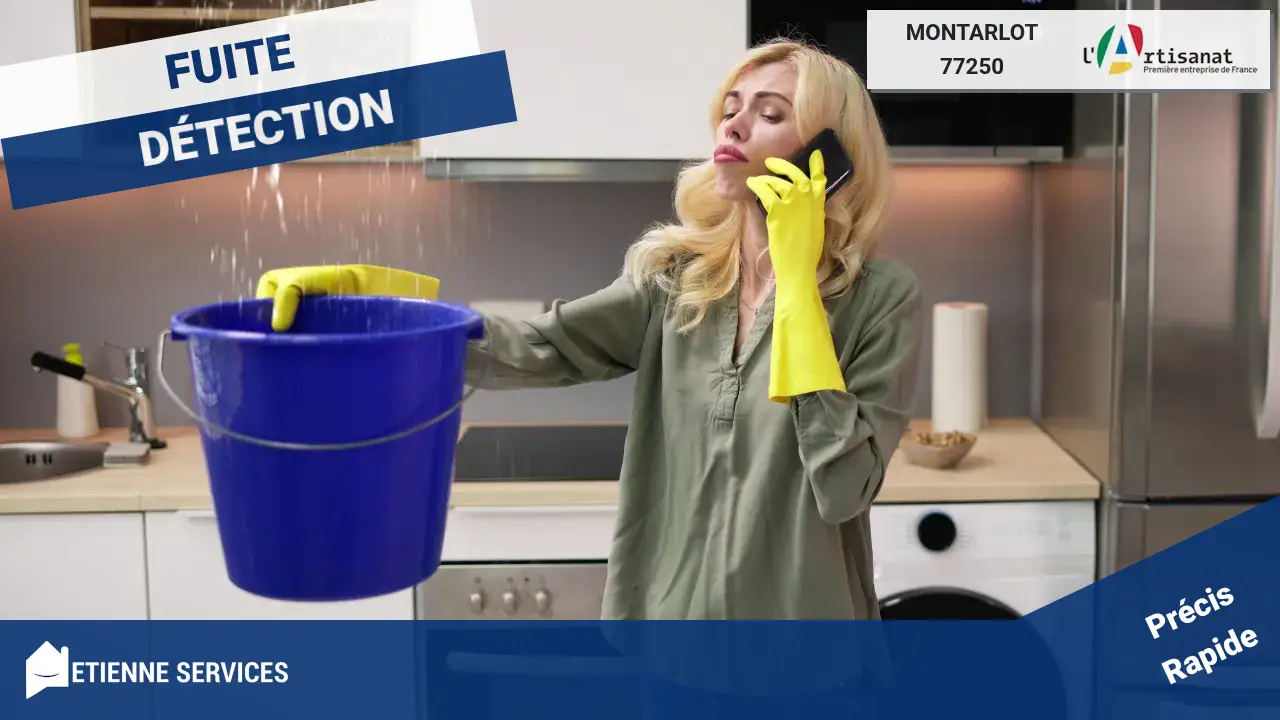 Recherche de fuites à Montarlot : intervention spécialisée pour une détection précise