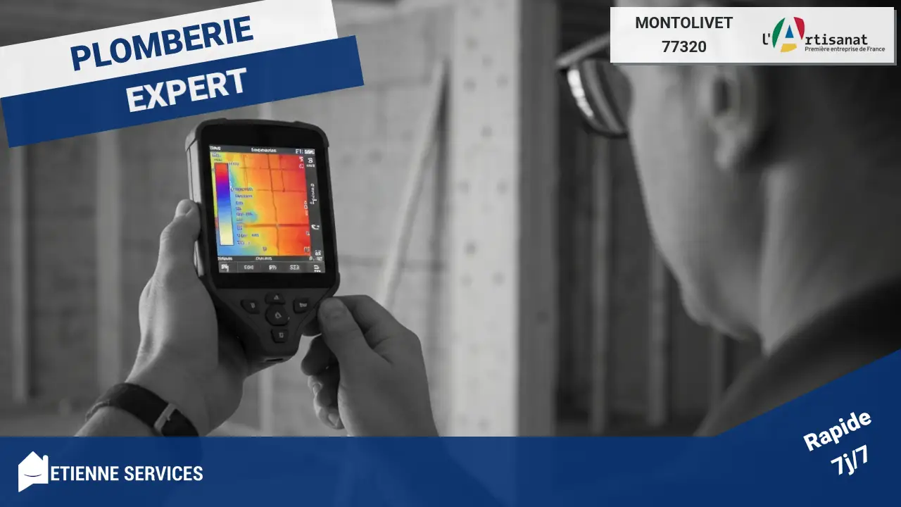 Meilleurs artisans dépanneurs en détection par caméra thermique à Montolivet