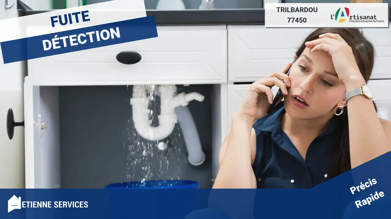 Recherche de fuites à Trilbardou : L'expertise d'artisans dépanneurs pour un diagnostic fiable