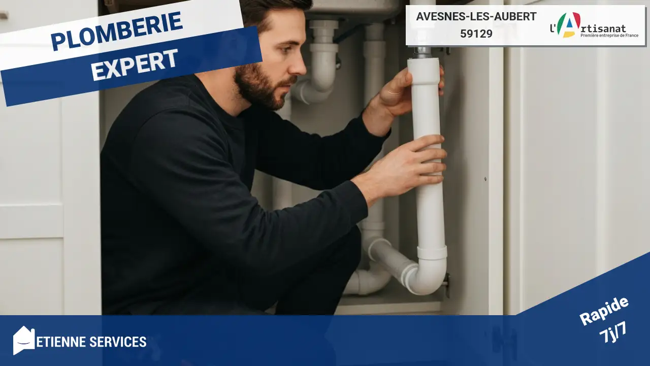 Experts de la Recherche de Fuite par Inspection Visuelle