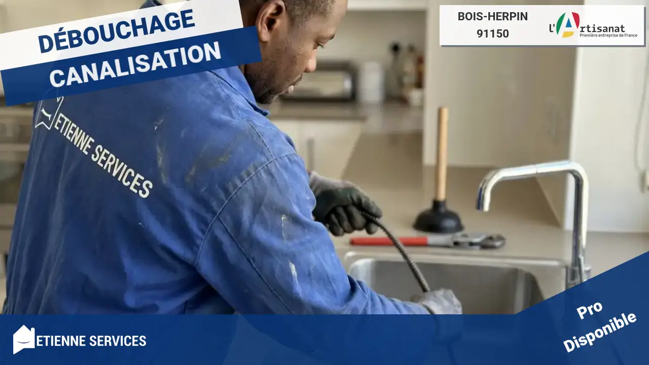 Débouchage de canalisation à Bois-Herpin : votre expert en urgence