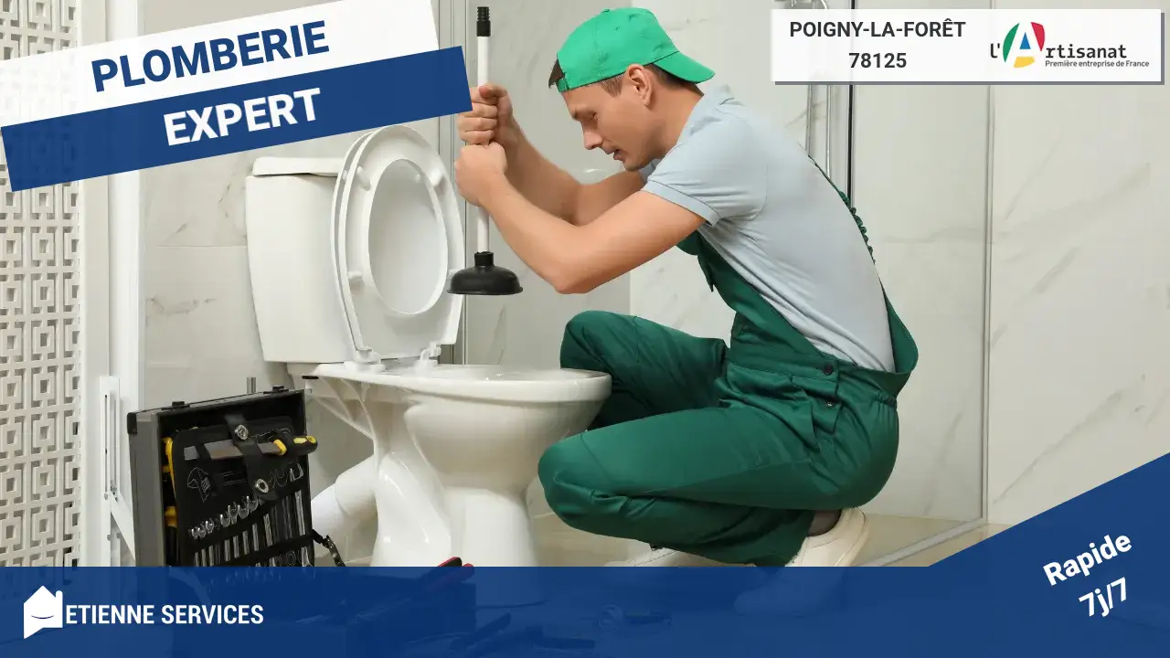 Intervention spécialisée : le débouchage à la pompe manuelle